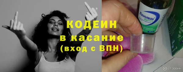 шишки Новозыбков