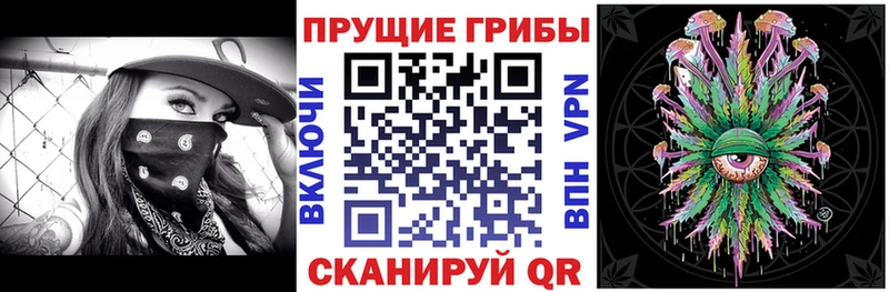 Псилоцибиновые грибы GOLDEN TEACHER  Новоалтайск 